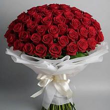 Букет 101 Красная роза Блэк Мэджик в Сырково