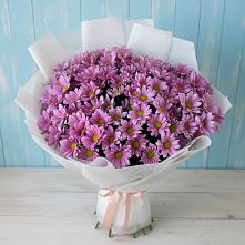 Букет цветов из:  Хризантемы #REPLACE_PRED# Сырково