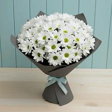 Букет цветов из:  Хризантемы в Сырково