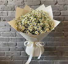 Букет цветов из:  Ромашки #REPLACE_PRED# Сырково