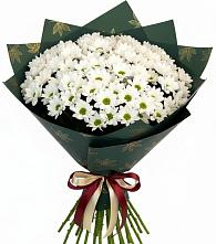 Букет цветов из:  Хризантемы в Сырково