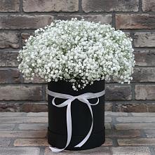 Цветочная композиция из Гипсофила в шляпной коробке в Сырково