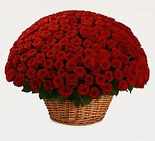 Премиум букет из: Розы в Сырково