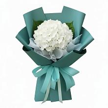 Букет цветов из:  Гортензия #REPLACE_PRED# Сырково